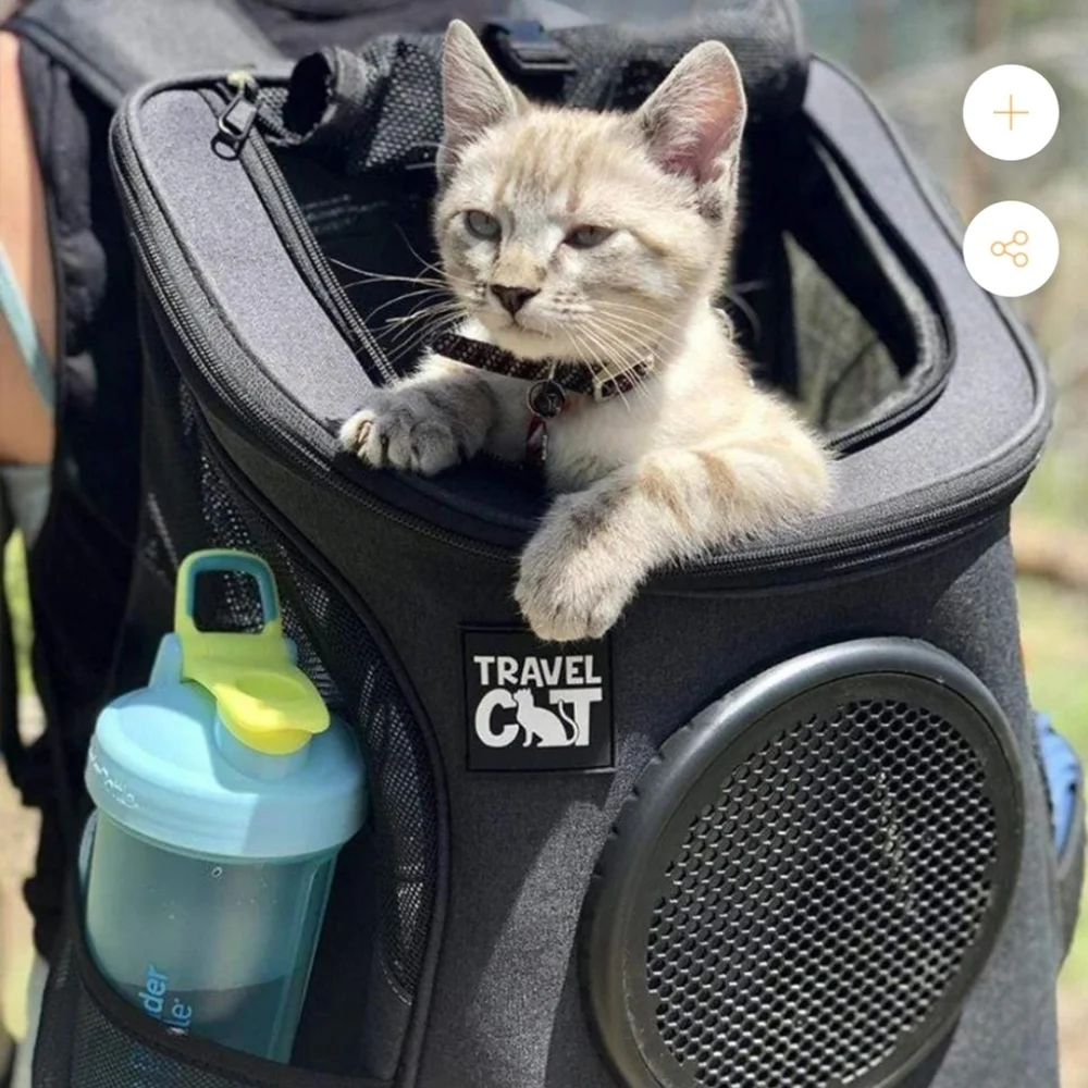 Pet backpack